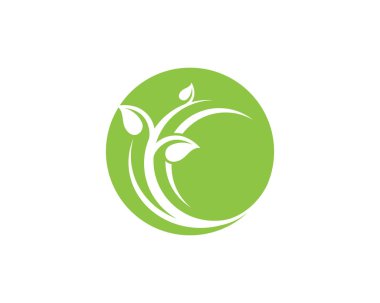 Vektör yaprak yeşil doğa logo ve şablon
