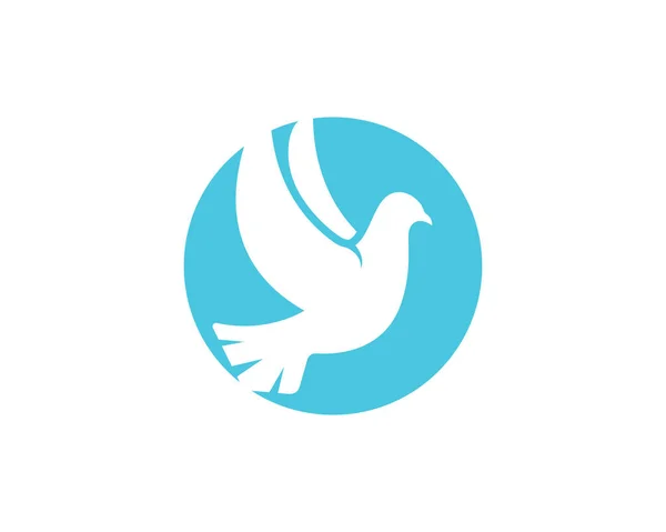 Modèle de logo de colombe oiseau — Image vectorielle