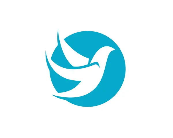 Modello logo colomba uccello — Vettoriale Stock