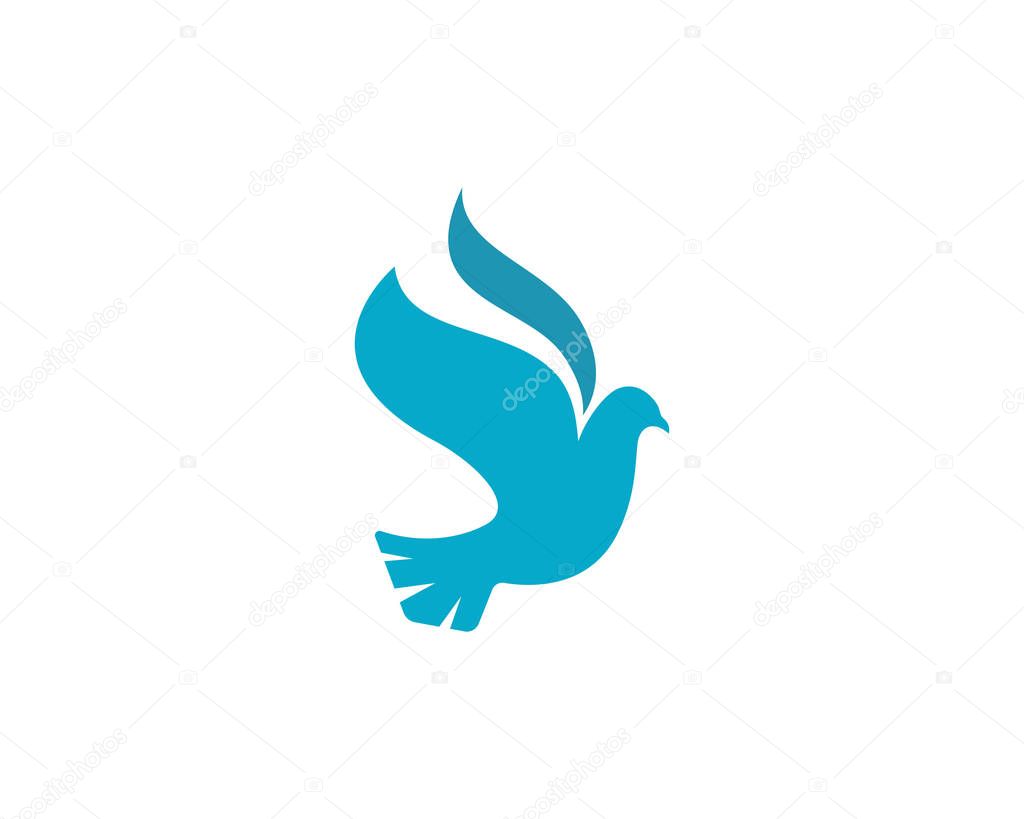  Bird Dove Logo Template