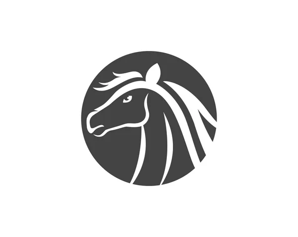 Hoofd paard logo en sjabloon pictogrammen — Stockvector