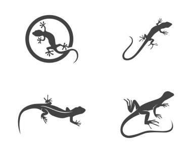 Kertenkele logo ve şablon 