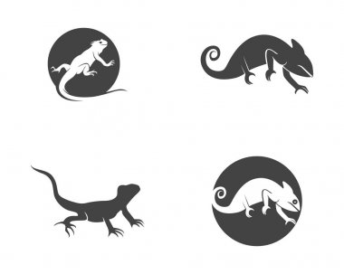 Kertenkele logo ve şablon 