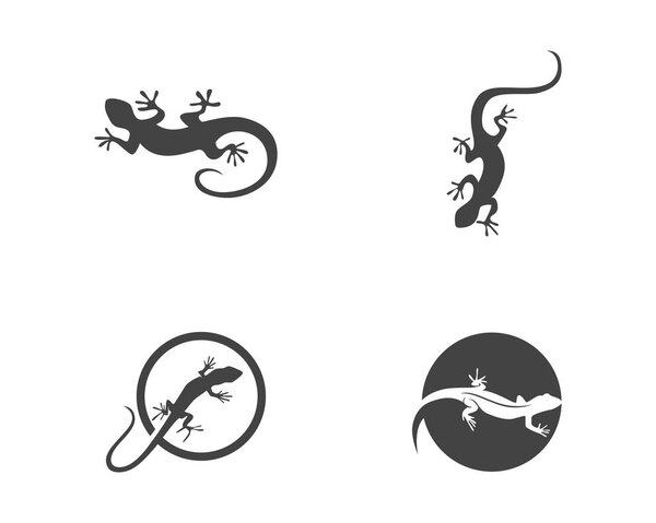Lizard logo and template 