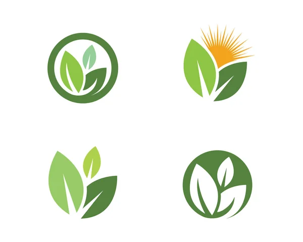 Liść zielony natura logo i symbole — Wektor stockowy