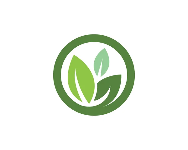 Hoja verde naturaleza logotipo y símbolos — Vector de stock