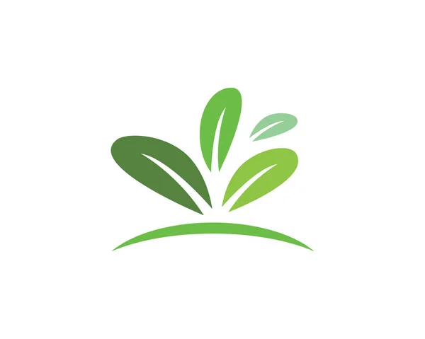 Yaprak doğa gitmek yeşil logo ans şablon vektörel çizimler — Stok Vektör