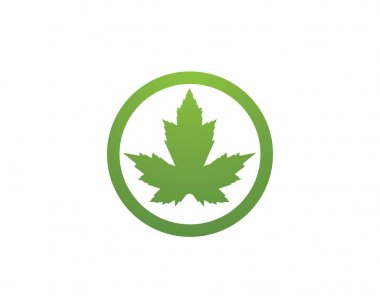 Meşe yaprağı logo ve sembolleri vektör şablonu