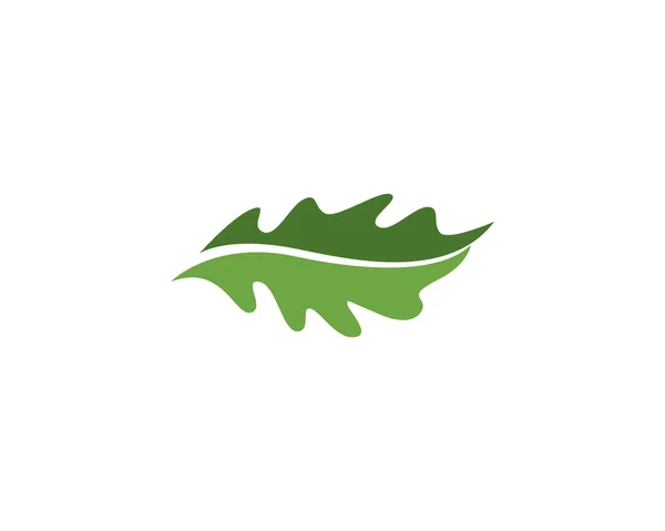 Логотип листа дуба и векторный шаблон символов — стоковый вектор