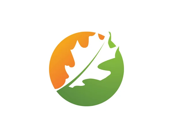 Eichenblatt Logo und Symbole Vektorschablone — Stockvektor