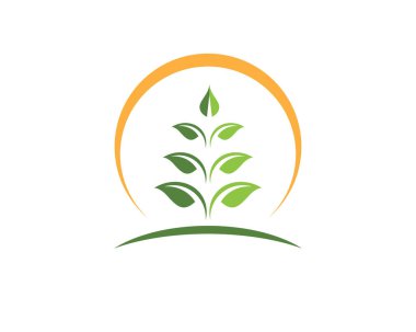 Yeşil doğa logo ve sembolleri vektör yaprak