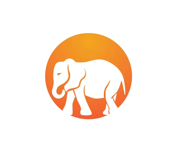 Modèle de tête de logo vectoriel éléphant — Image vectorielle