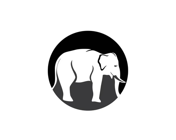 Modèle de tête de logo vectoriel éléphant — Image vectorielle