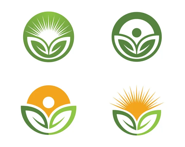 Logos de folha verde ícone do vetor ecologia — Vetor de Stock