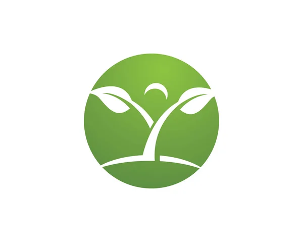 Vetor deixa o logotipo da natureza verde — Vetor de Stock
