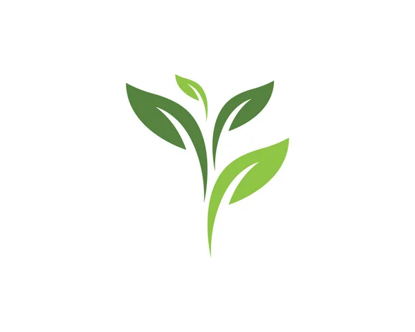 Vector laat groen logo — Stockvector