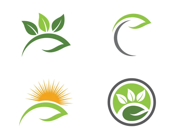 Eco Tree Leaf Logo Vorlage — Stockvektor