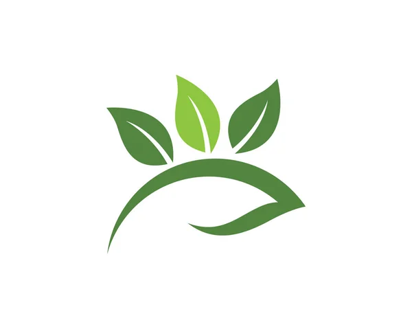 Modèle de logo de feuille d'arbre écologique — Image vectorielle