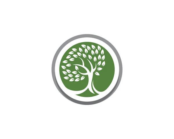 Logos von grünen Blättern Ökologie Naturelement Vektor-Symbol — Stockvektor