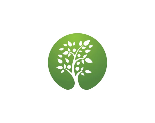 Logo-uri de ecologie frunze verzi element natural pictogramă vectorială — Vector de stoc