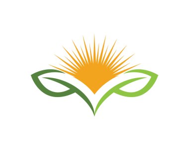 Vektör - yaprakları yeşil doğa logosu