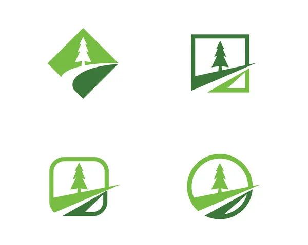 Árvore de cedro modelo de logotipo — Vetor de Stock