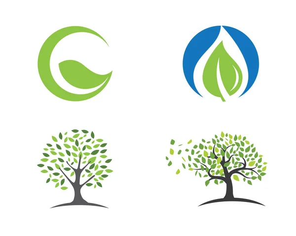 Eco Tree blad logotyp mall — Stock vektor