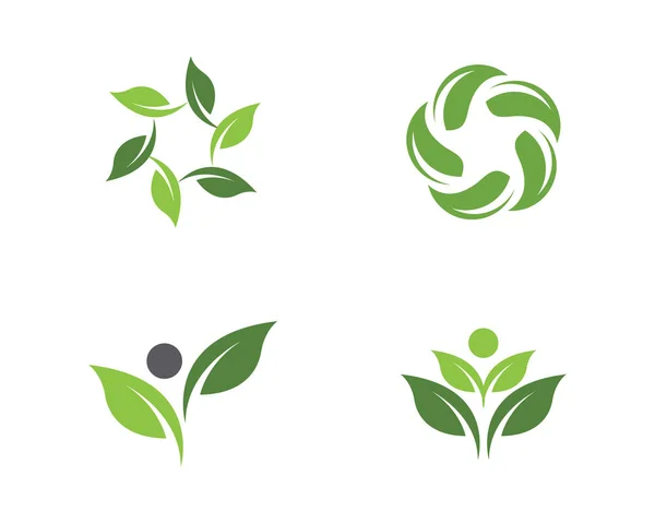 Οικολογικό πρότυπο λογότυπο — Διανυσματικό Αρχείο