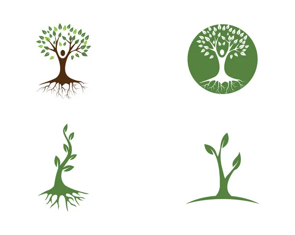 Logos de vert feuille écologie élément nature vecteur icône — Image vectorielle