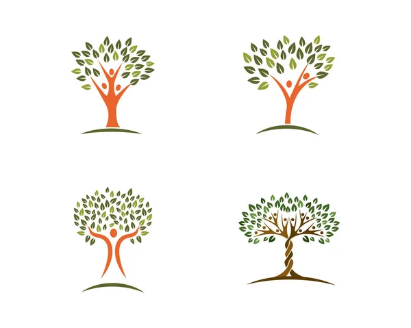 Modèle de logo de feuille d'arbre écologique — Image vectorielle