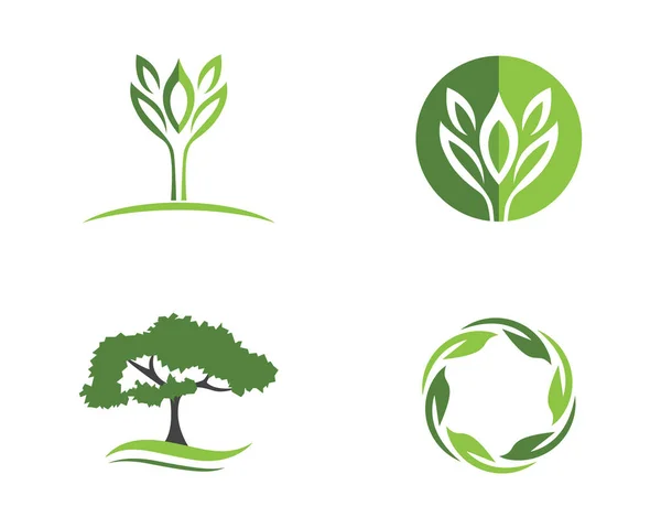 Logos of green leaf ecology nature element vector icon - Stok Vektor