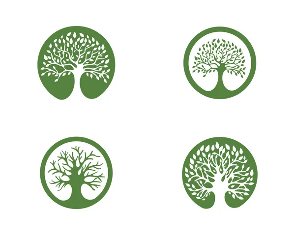 Modèle de logo de feuille d'arbre écologique — Image vectorielle