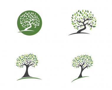 Eko Ağacı Yaprak Şablonu