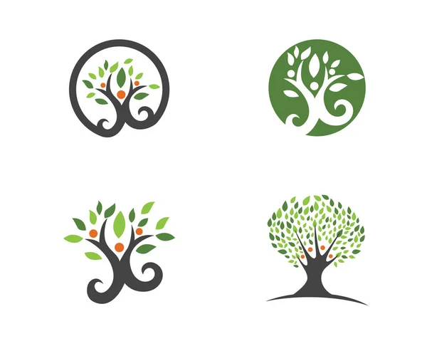Eco Tree Leaf Logo șablon — Vector de stoc
