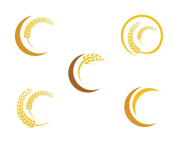 Rolnictwo pszenica logo wzór wektor ikona projekt — Wektor stockowy