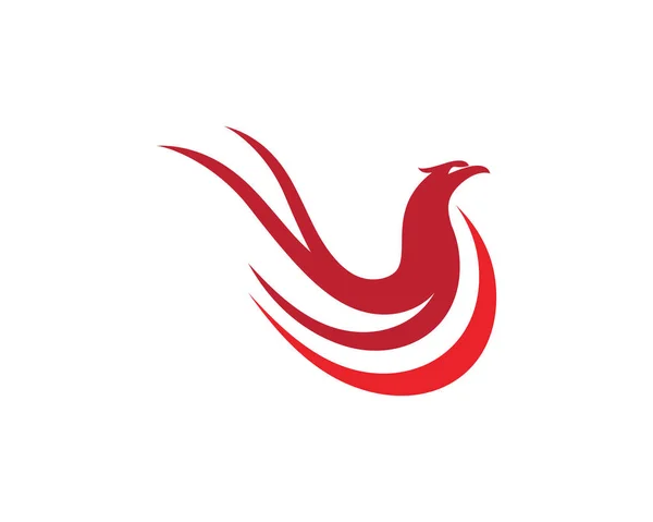 Szablon Logo Sokół — Wektor stockowy
