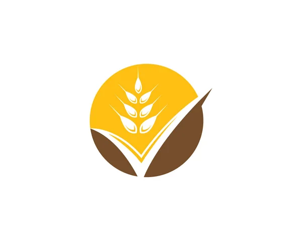 Agricultura trigo logotipo plantilla vector icono diseño — Vector de stock