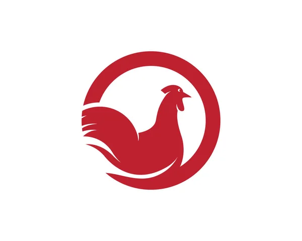 Plantilla de logotipo de gallo — Vector de stock