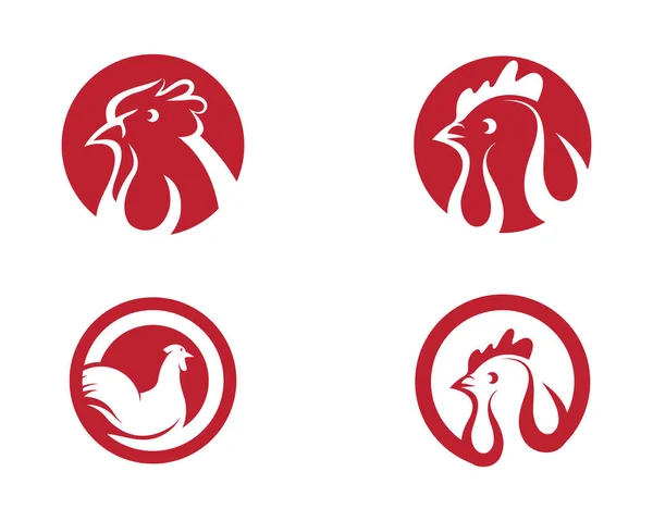 Plantilla de logotipo de gallo — Archivo Imágenes Vectoriales