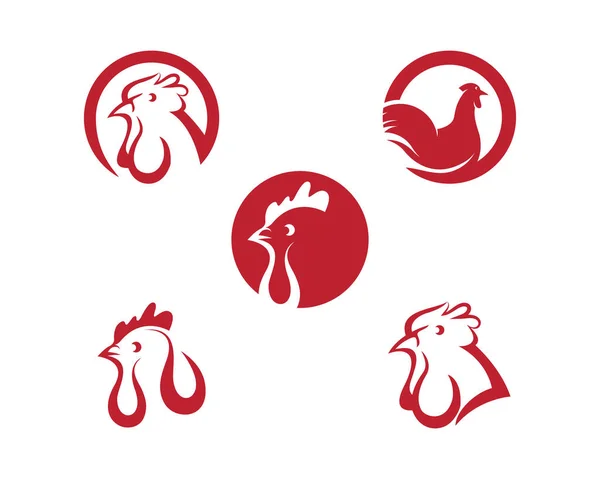 Plantilla de logotipo de gallo — Vector de stock