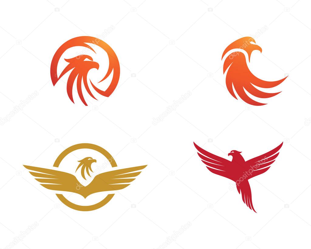 Falcon Eagle Bird Logo Template vector icon