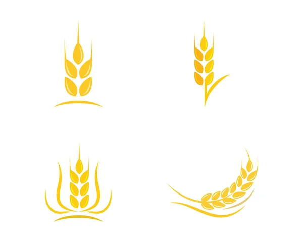 Agricultura trigo logotipo plantilla vector icono diseño — Archivo Imágenes Vectoriales