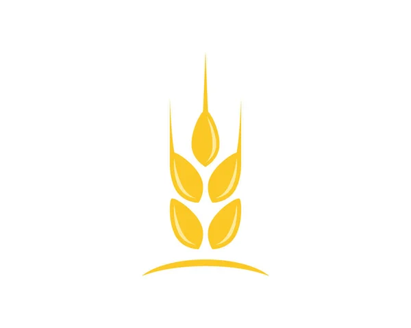 Σχεδιασμός εικονιδίου φορέα λογότυπου γεωργικού σιταριού — Διανυσματικό Αρχείο