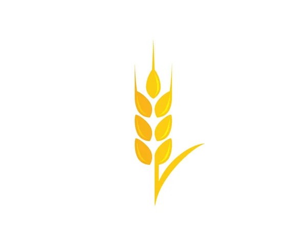 Landbouw tarwe logo template vector pictogram ontwerp — Stockvector