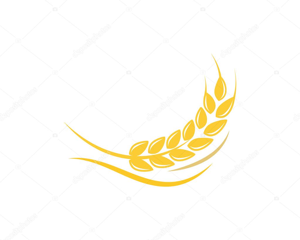 Agriculture wheat Logo Template vector icon design