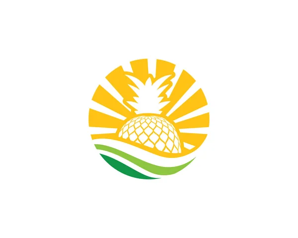 Ananas Logo vector pictogram illustratie sjabloonontwerp — Stockvector