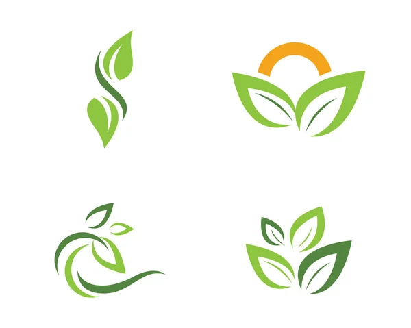 Logotipos de folha verde ecologia elemento de natureza vetor ícone — Vetor de Stock