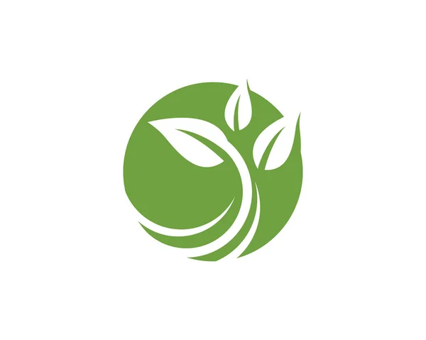 Logotipos de folha verde ecologia elemento de natureza vetor ícone — Vetor de Stock