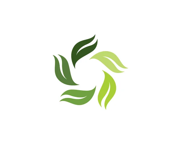 Логотипы экологии зеленых листьев — стоковый вектор