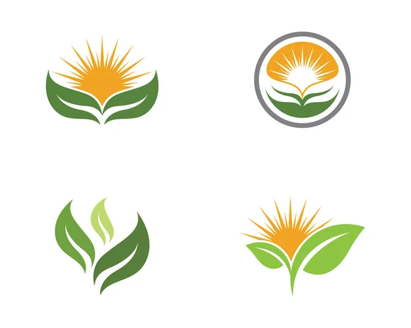 Feuille d'arbre Logos élément nature — Image vectorielle